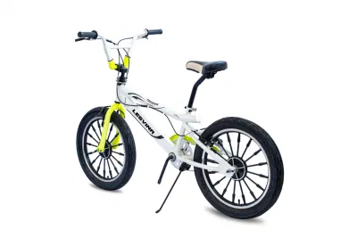 Bicicletta personalizzata per adulti da 20 pollici BMX con V