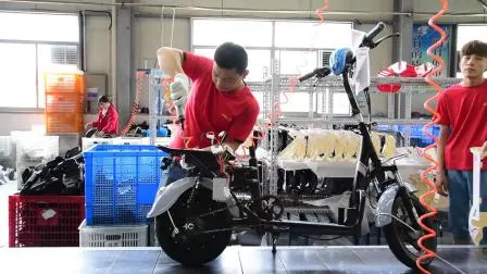 OEM cinese per bici con telaio in acciaio per bicicletta BMX da 20 pollici